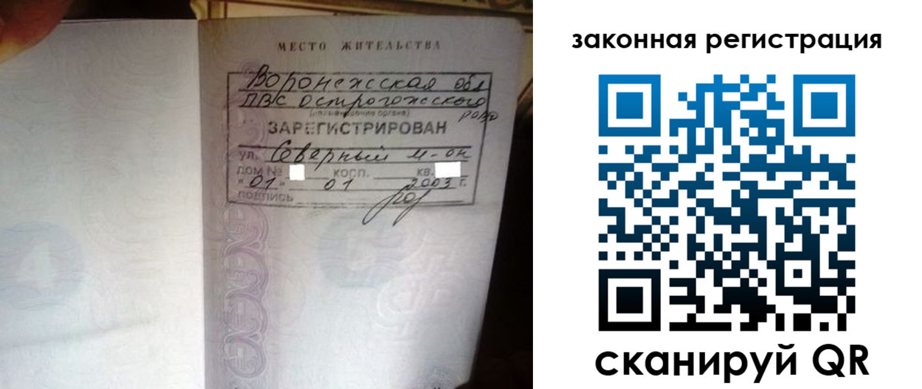 прописка поиск в Елизово